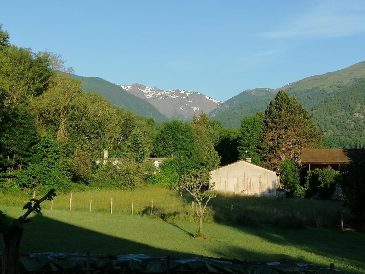 A La Joie De Vivre Chez L'Habitant Banat Luaran gambar